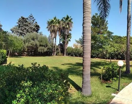 Bali Arenella (Syracuse)