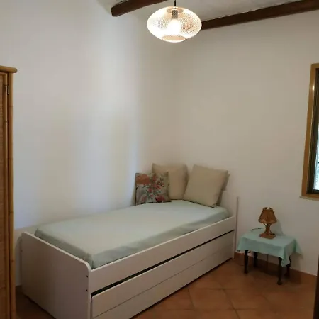 Bali Arenella (Syracuse)
